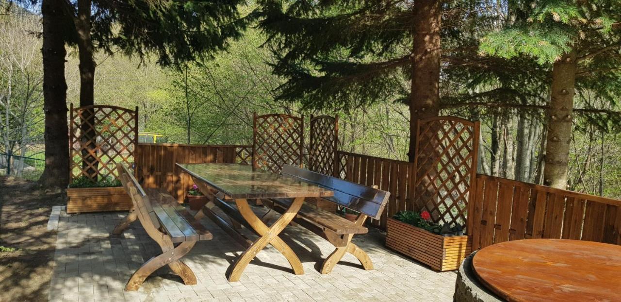 Sezatoarea Lupilor Villa Lepşa Kültér fotó
