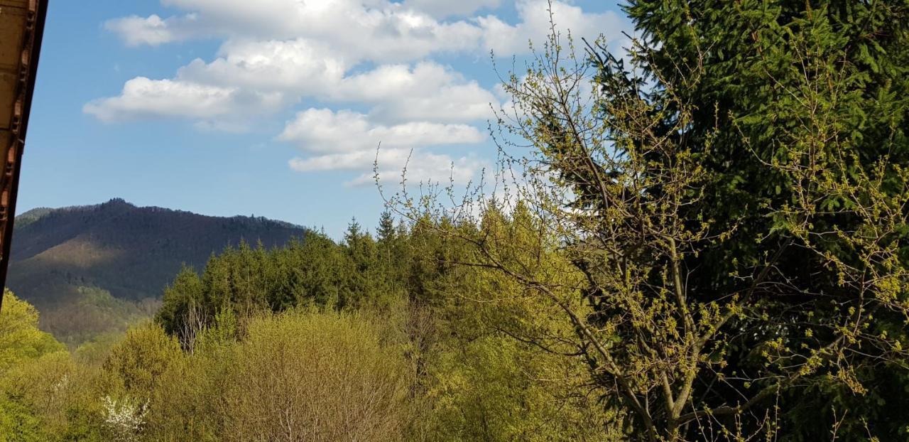 Sezatoarea Lupilor Villa Lepşa Kültér fotó