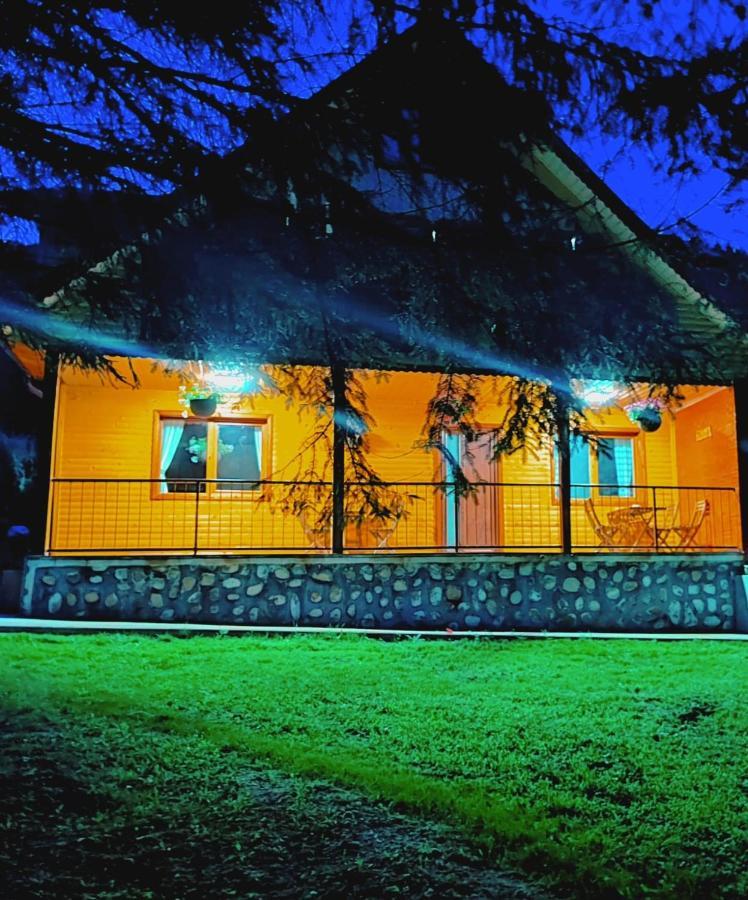 Sezatoarea Lupilor Villa Lepşa Kültér fotó
