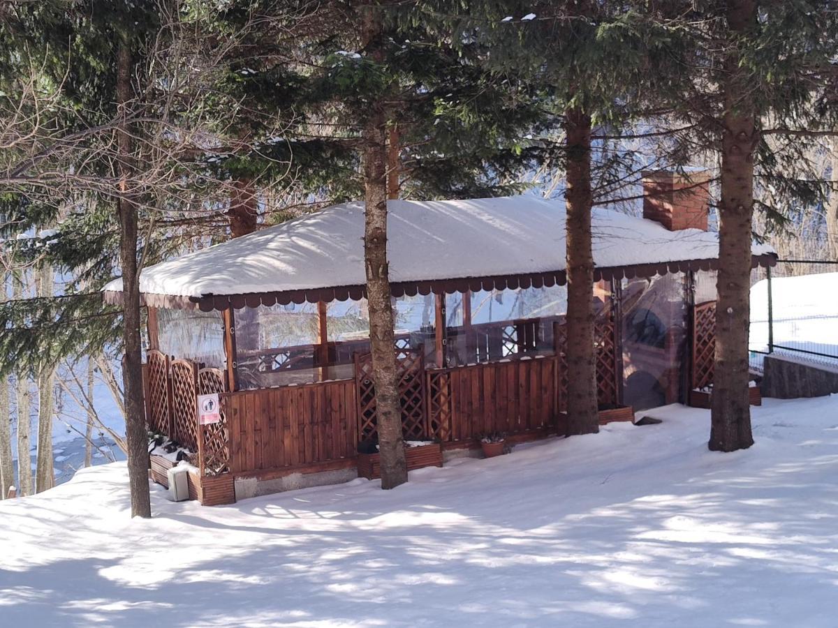 Sezatoarea Lupilor Villa Lepşa Kültér fotó
