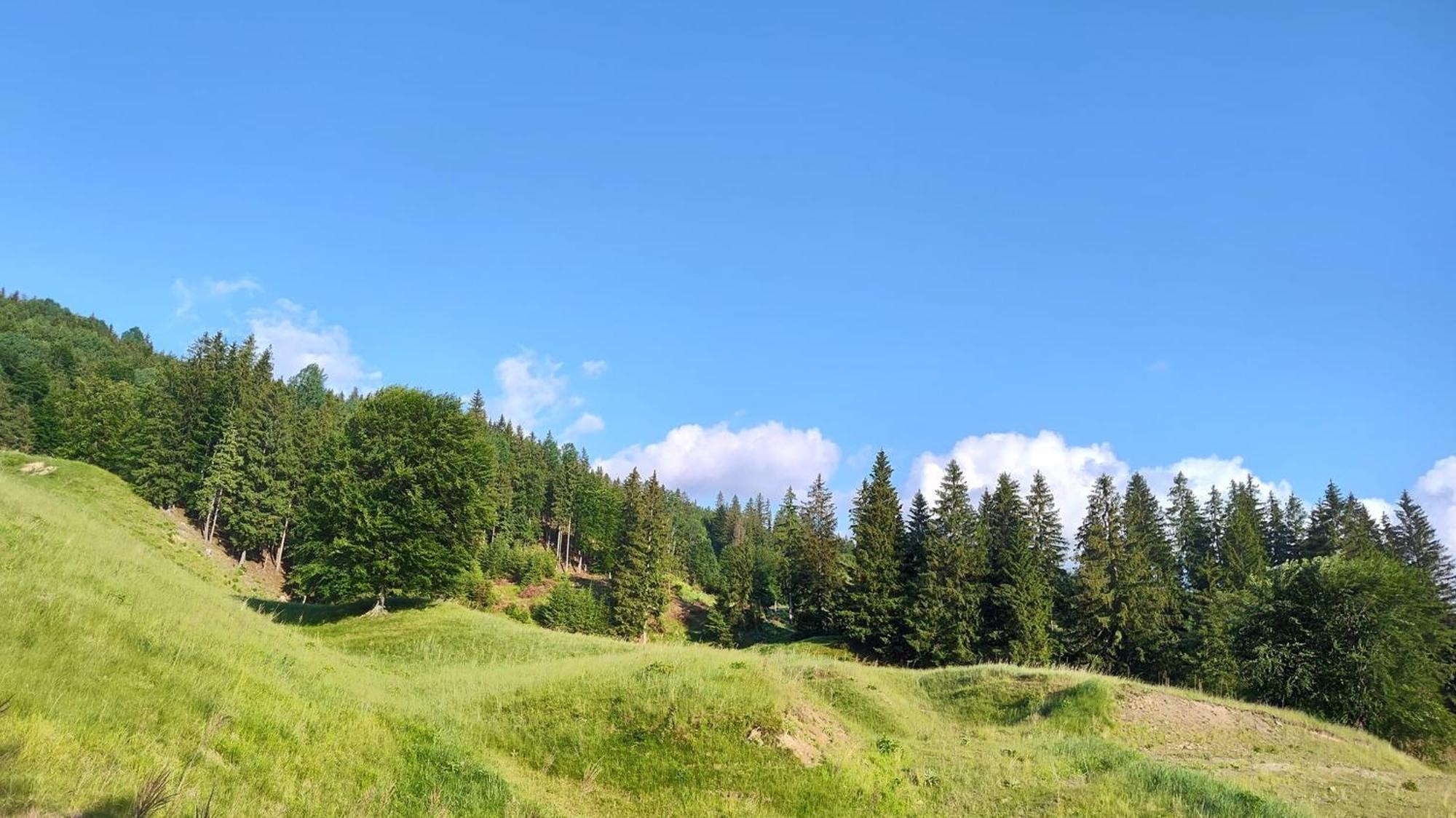 Sezatoarea Lupilor Villa Lepşa Kültér fotó